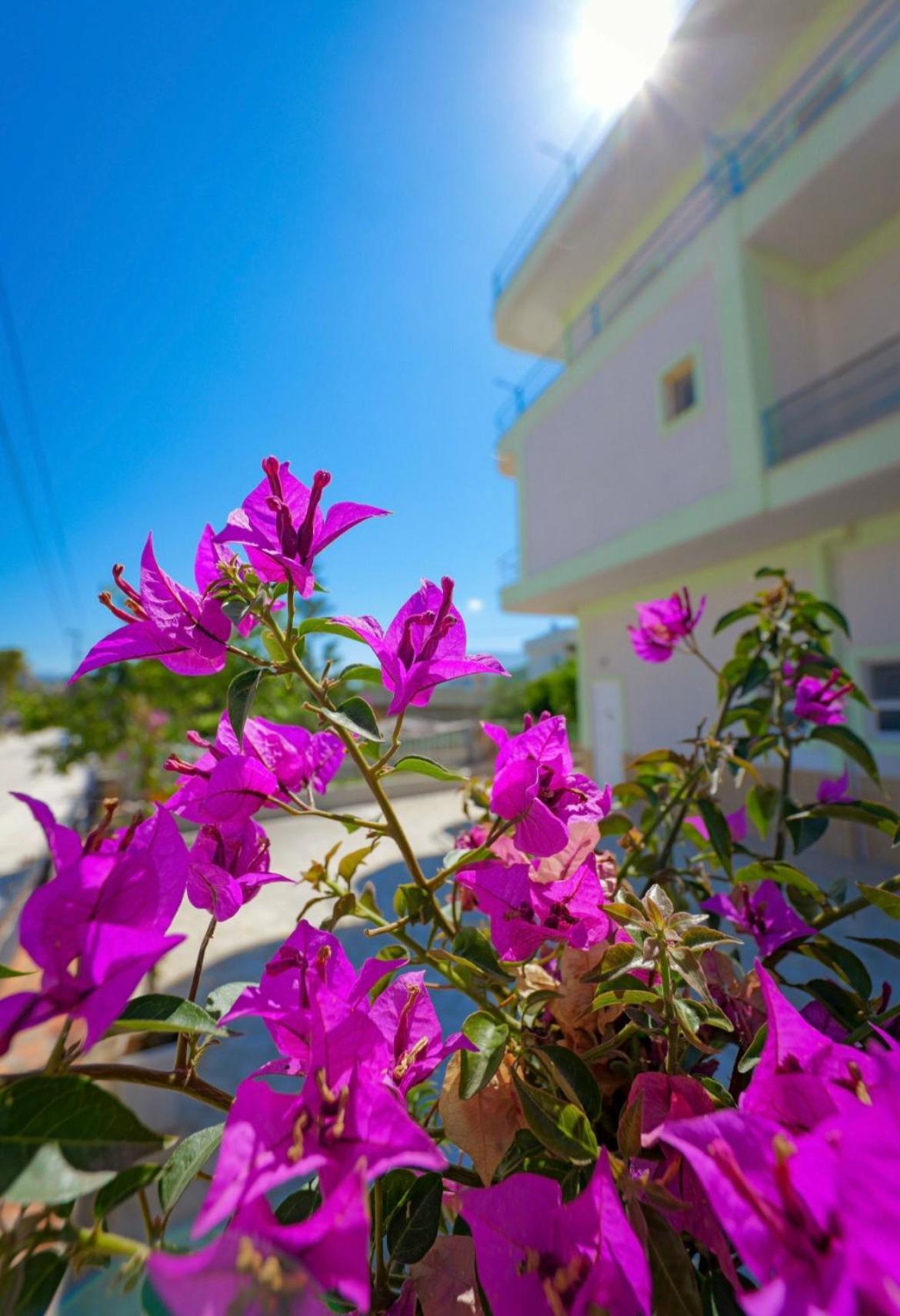 Sunflower Hotel Ksamil Luaran gambar