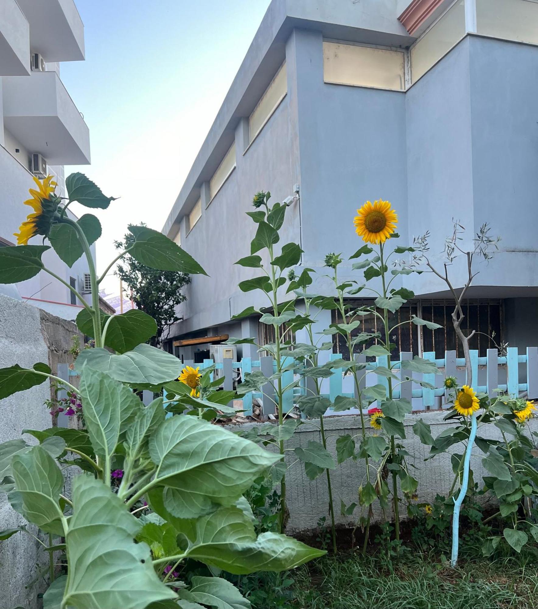 Sunflower Hotel Ksamil Luaran gambar